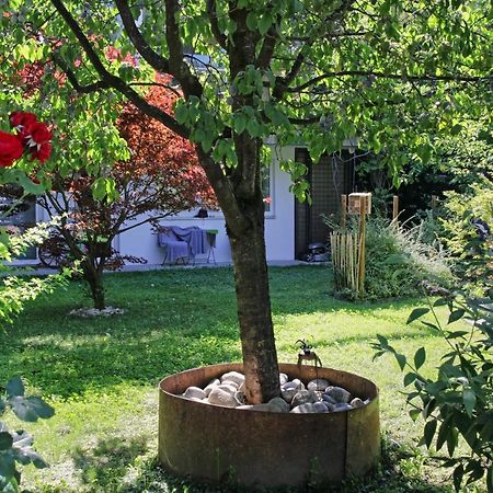Nigler Innsbruck Apartment 외부 사진