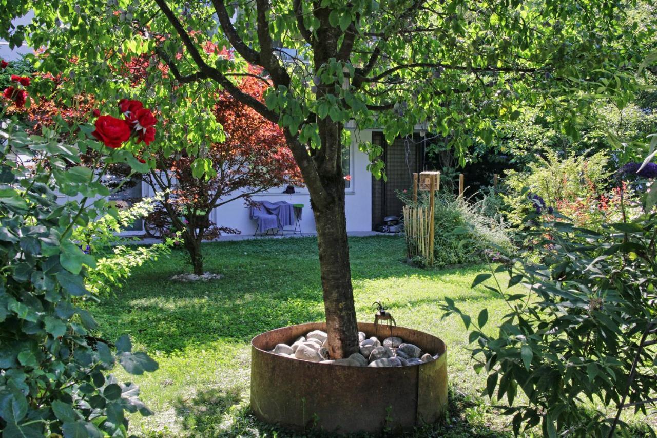 Nigler Innsbruck Apartment 외부 사진